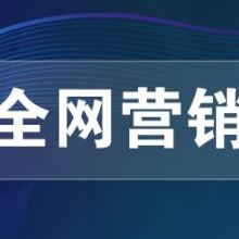 網(wǎng)絡(luò)推廣、網(wǎng)絡(luò)營(yíng)銷與網(wǎng)絡(luò)技術(shù)服務(wù) 構(gòu)建數(shù)字化時(shí)代的商業(yè)引擎